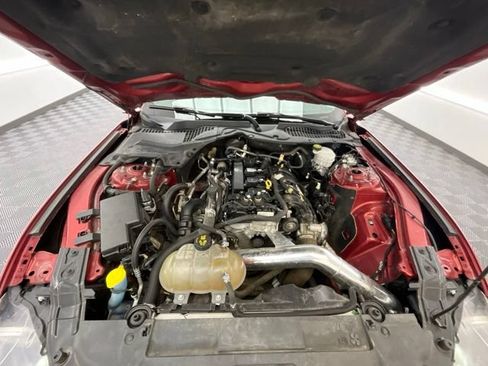 Used 2019 Ford Mustang Coupe RWD image 24