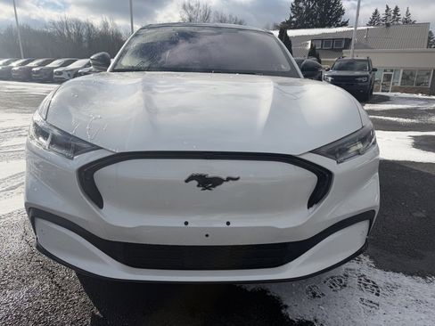 Used 2021 Ford Mustang Mach-E Premium image 11