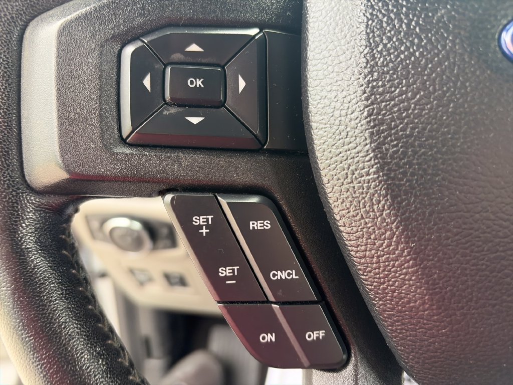 Used 2019 Ford F150 XLT w/ Equipment Group 301A Mid AWD/4WD image 21
