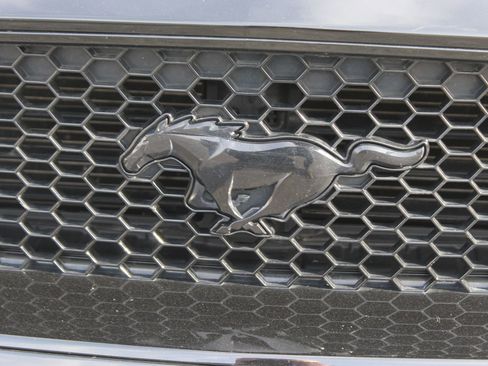 Used 2021 Ford Mustang GT Premium w/ Equipment Group 401A image 12