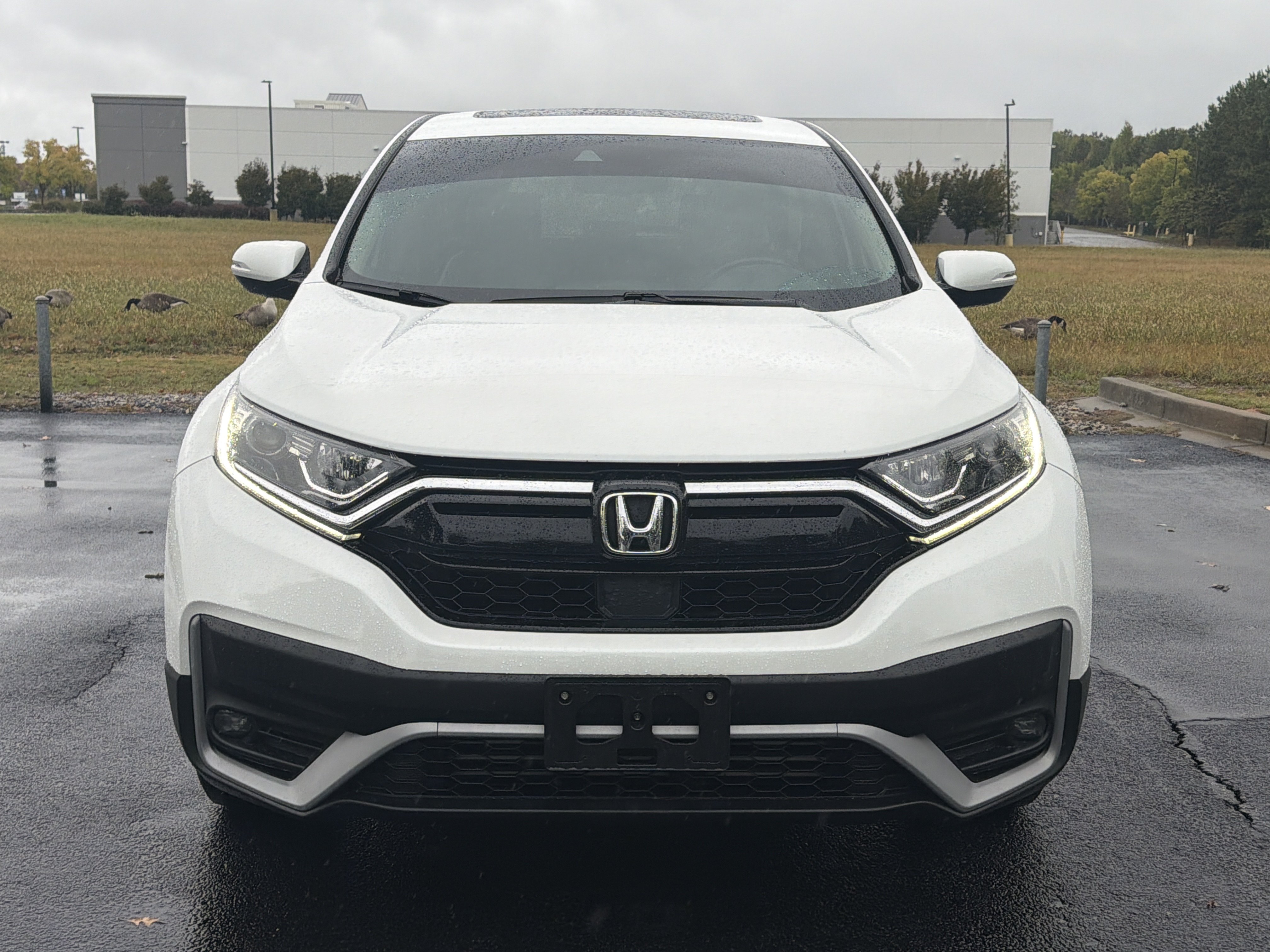 Used 2022 Honda CR-V EX-L image 3