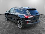 Used 2022 Ford Escape SE w/ SE Sport Appearance Package image 3