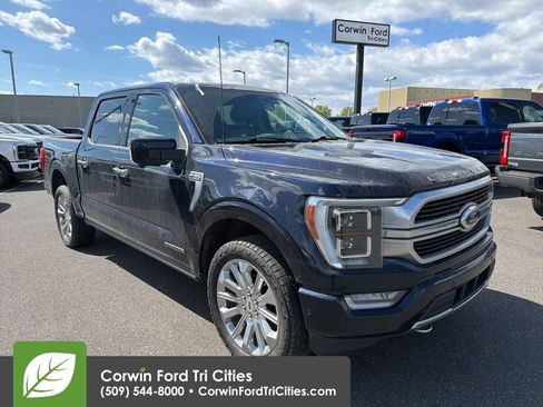 Used 2021 Ford F150 Limited AWD/4WD image 3