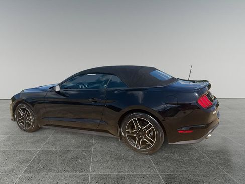 Used 2023 Ford Mustang Premium RWD image 5