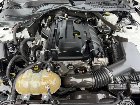 Used 2019 Ford Mustang Convertible RWD image 18
