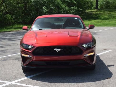 Used 2019 Ford Mustang Premium w/ Equipment Group 201A RWD image 18