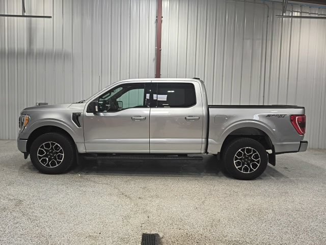 Used 2023 Ford F150 XLT w/ Equipment Group 302A High AWD/4WD image 9
