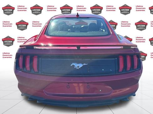 Used 2023 Ford Mustang Premium w/ Equipment Group 201A image 6