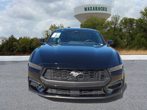 Used 2025 Ford Mustang Premium image 2