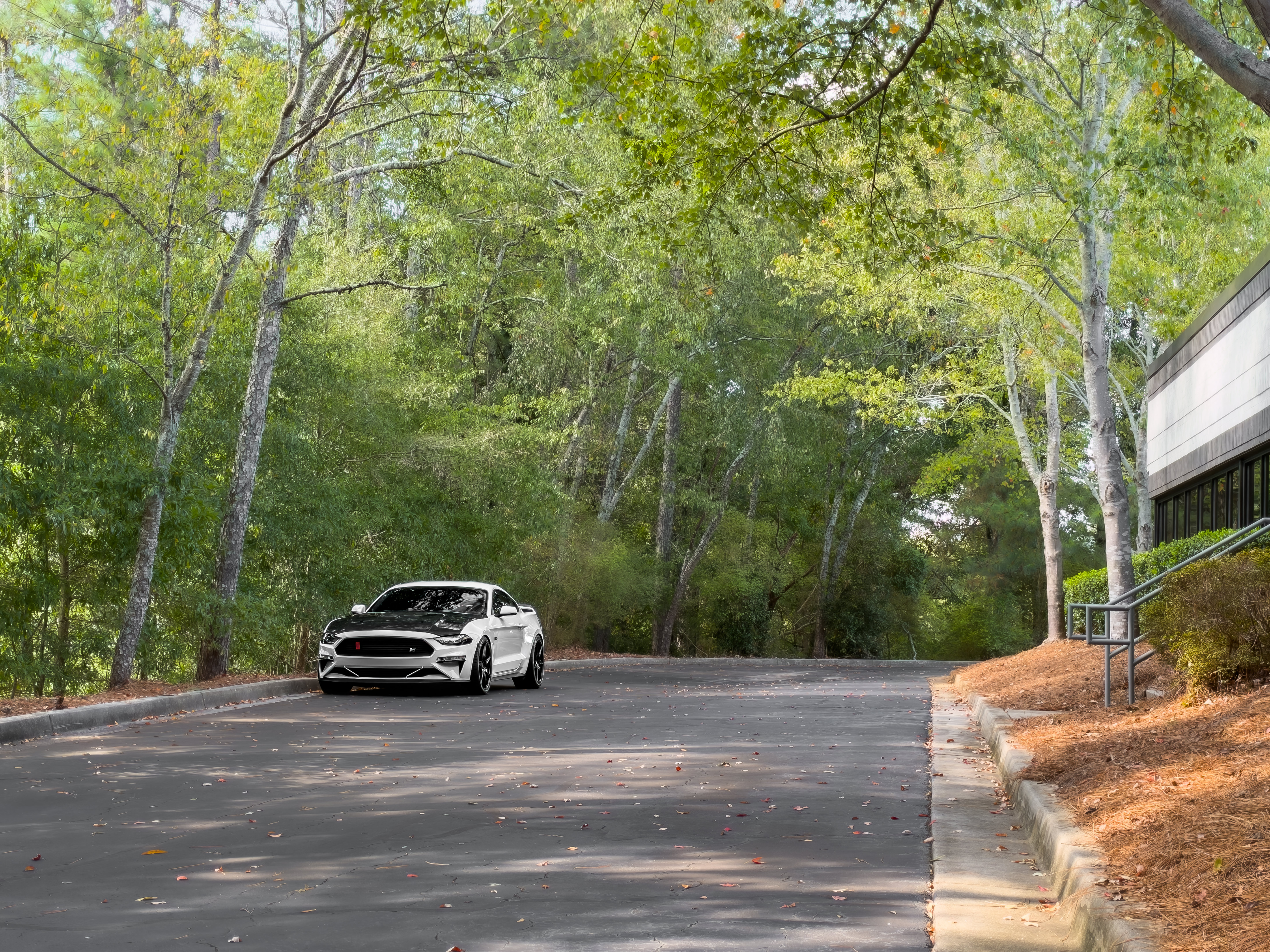 Used 2019 Ford Mustang GT Premium w/ GT Performance Package RWD image 36