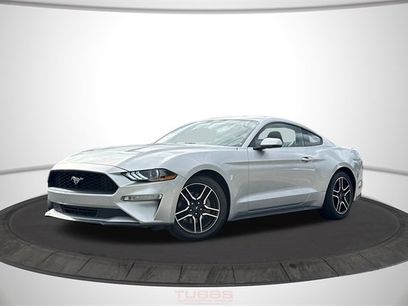 Used 2019 Ford Mustang Premium