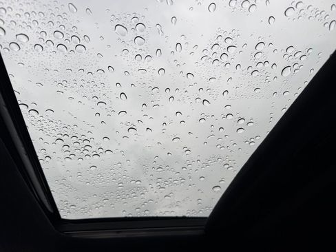 Used 2024 Hyundai Palisade Calligraphy image 13