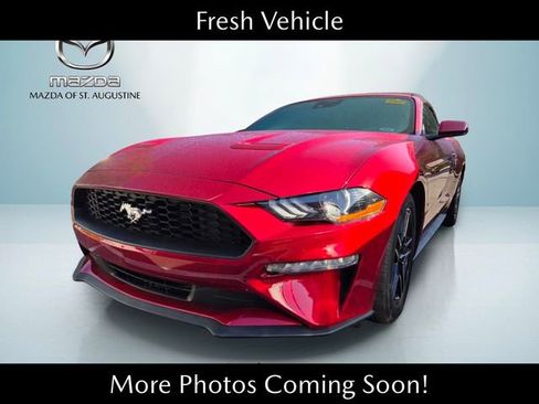 Used 2022 Ford Mustang Premium w/ Equipment Group 201A RWD image 1
