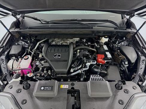 Certified 2025 Lexus NX 350 AWD w/ Cold Area Package image 29