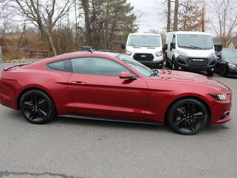 Used 2017 Ford Mustang Coupe w/ Ecoboost Performance Package image 9