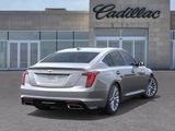 New 2026 Cadillac CT5 Premium Luxury w/ Sun And Sound Package image 4