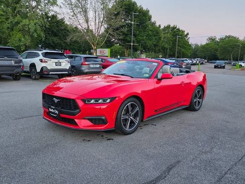 Used 2024 Ford Mustang Premium RWD image 12