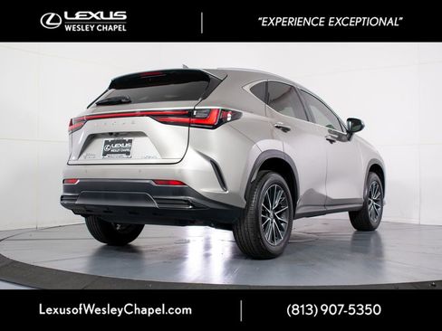 Used 2024 Lexus NX 250 FWD w/ Cold Area Package image 6
