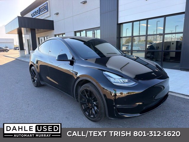 Used 2021 Tesla Model Y Long Range AWD/4WD image 1