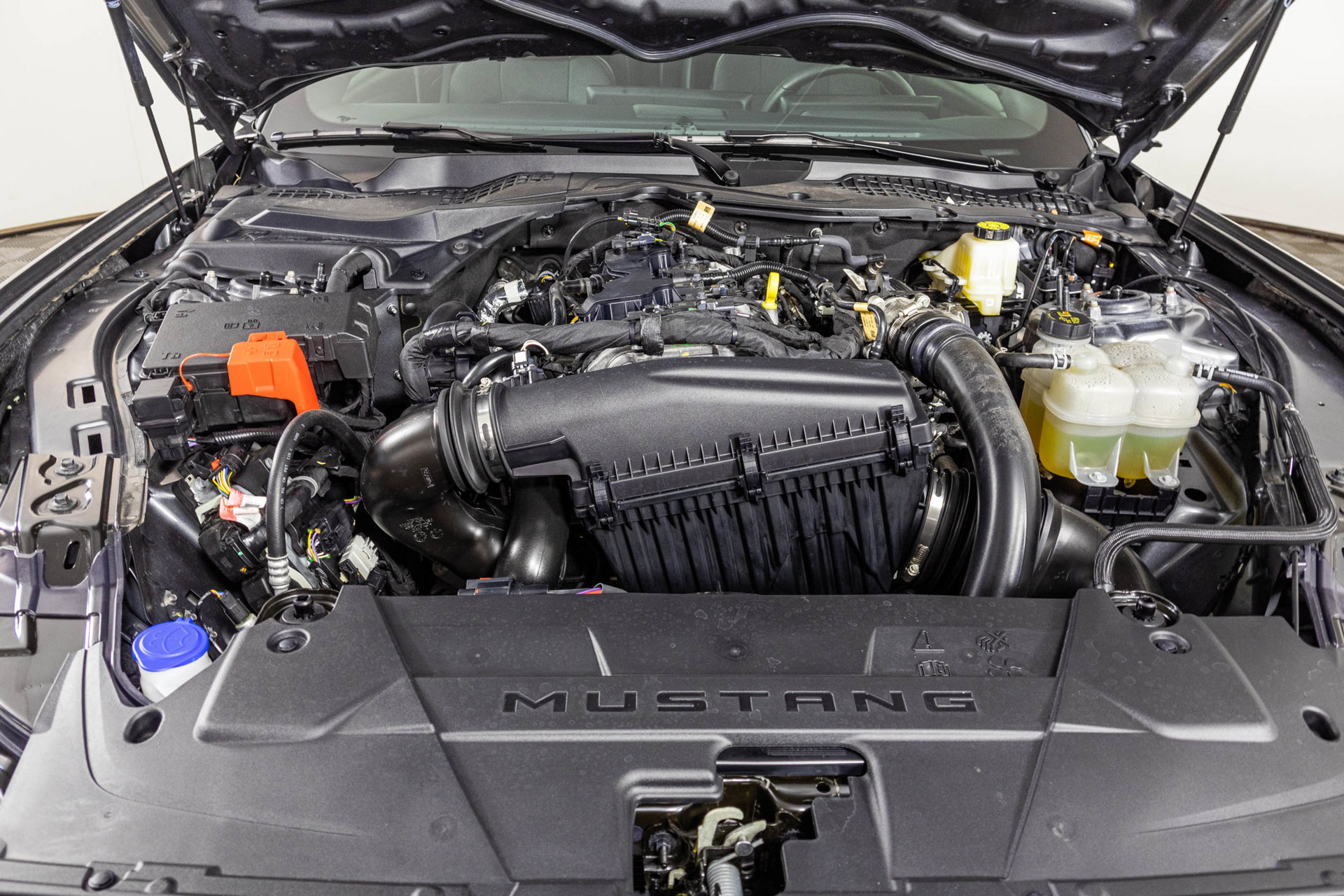 Used 2025 Ford Mustang Coupe RWD image 41
