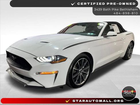 Used 2019 Ford Mustang Premium w/ Equipment Group 201A image 1