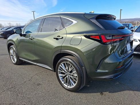 Certified 2025 Lexus NX 350 Luxury image 6