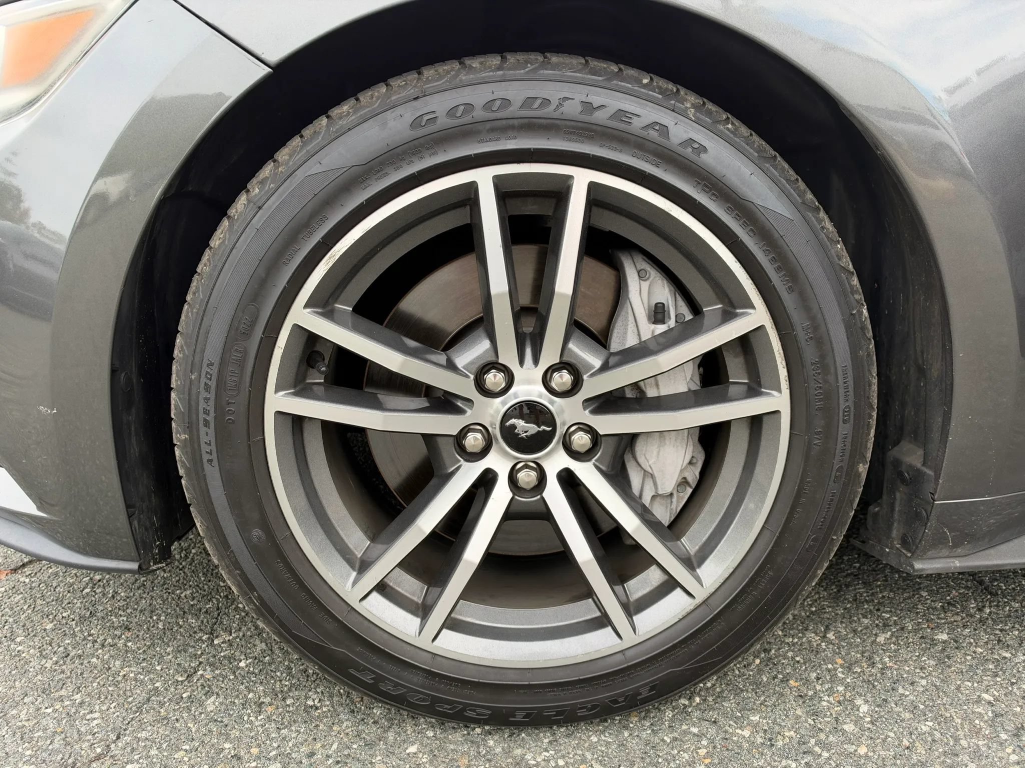 Used 2015 Ford Mustang GT Premium w/ Equipment Group 401A RWD image 20