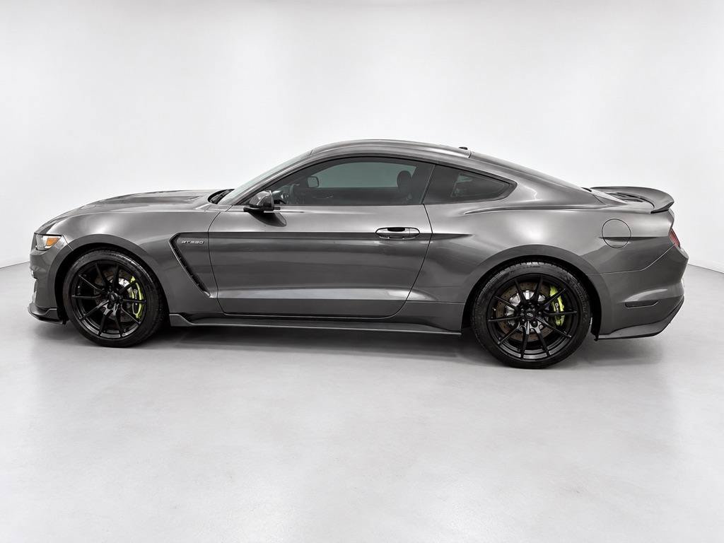 Used 2016 Ford Mustang Shelby GT350 w/ Technology Package RWD image 6