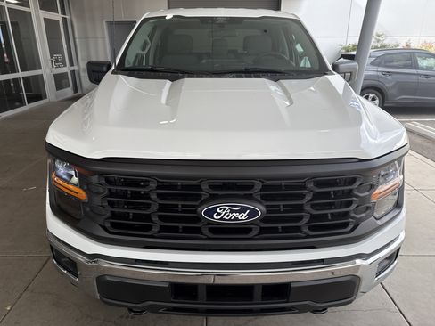 New 2025 Ford F150 XL w/ Equipment Group 103A High image 2