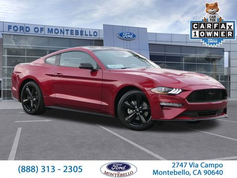 Used 2022 Ford Mustang Coupe w/ Equipment Group 101A image 1