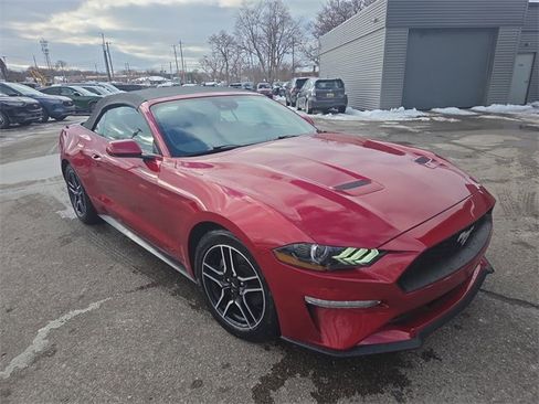 Certified 2023 Ford Mustang EcoBoost w/ Equipment Group 101A image 3