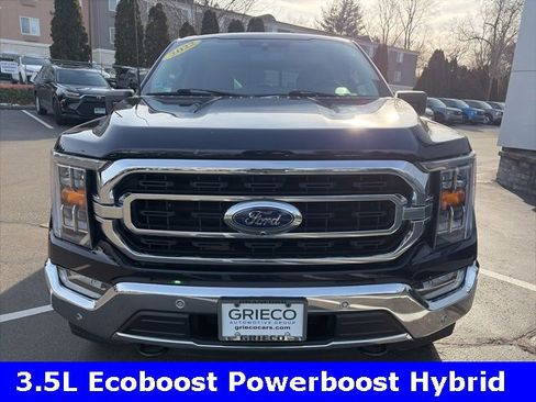 Used 2022 Ford F150 XLT w/ Equipment Group 302A High image 2