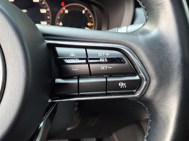 Used 2024 MAZDA CX-90 3.3 Turbo w/ Premium Plus Pkg AWD/4WD image 21