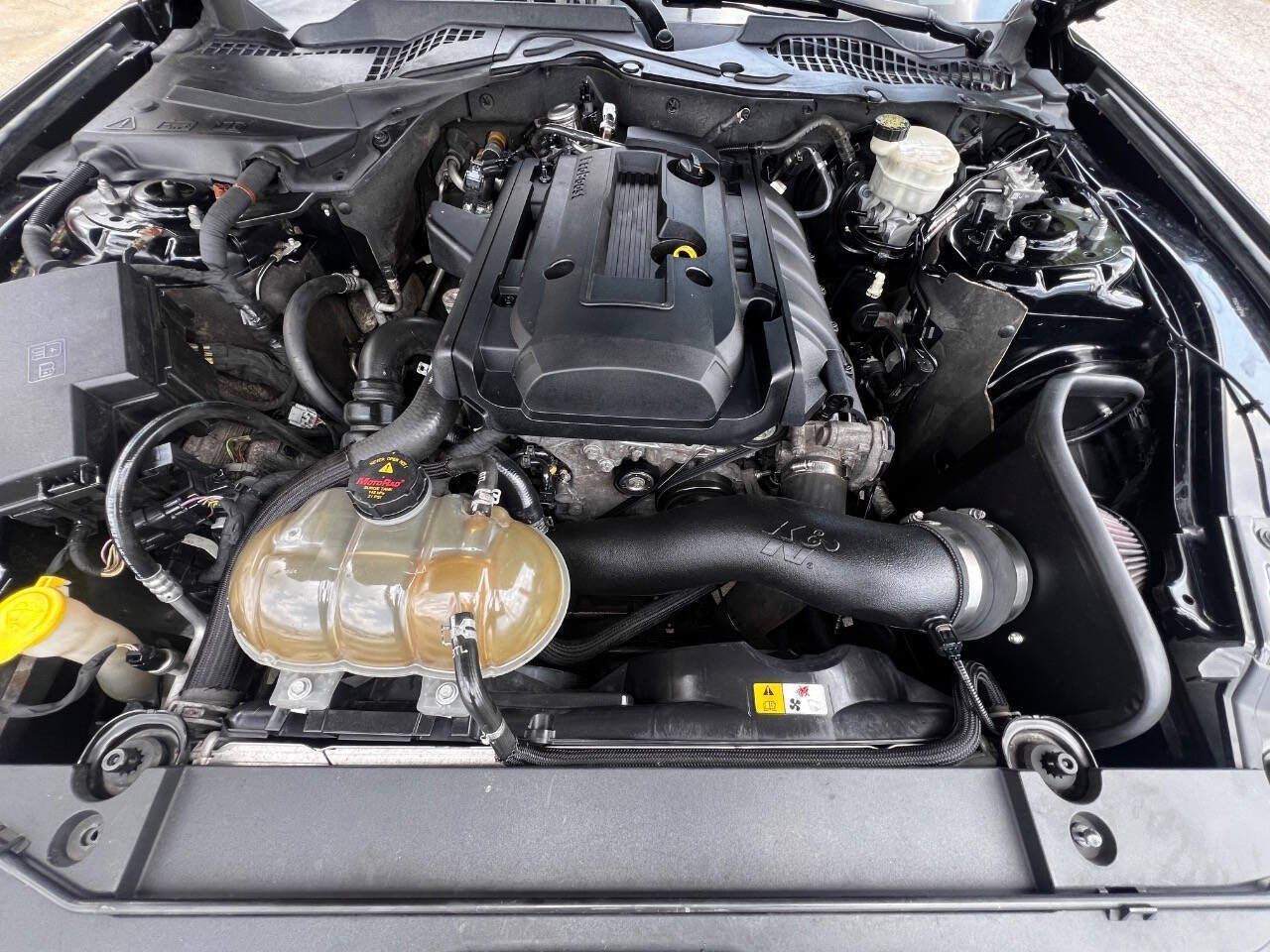 Used 2015 Ford Mustang Premium w/ Equipment Group 201A RWD image 17