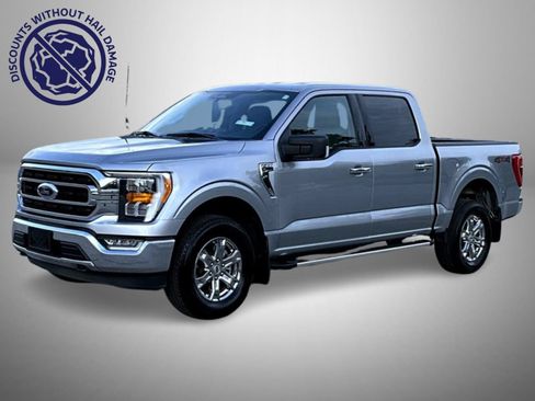 Used 2023 Ford F150 XLT w/ Equipment Group 302A High AWD/4WD image 1