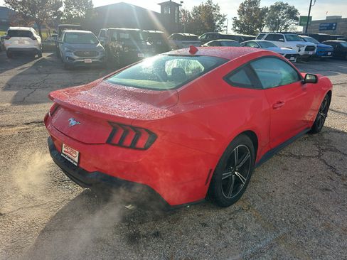 Used 2024 Ford Mustang EcoBoost image 5
