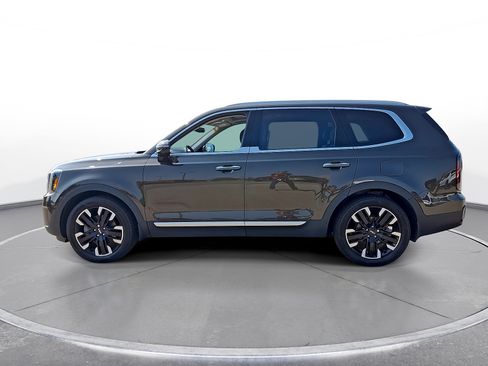 Used 2023 Kia Telluride SX AWD/4WD image 5