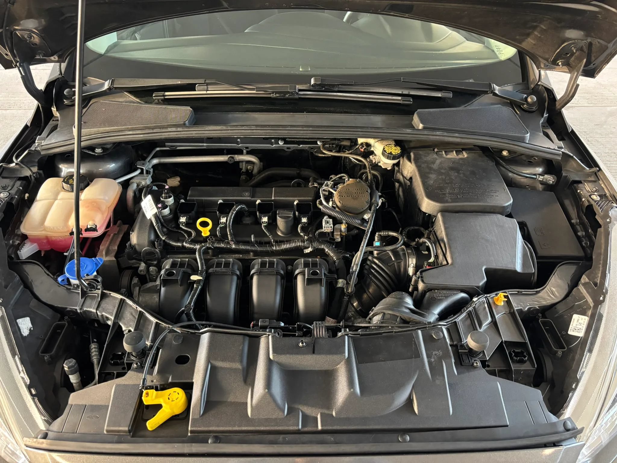 Used 2016 Ford Focus SE w/ SE Cold Weather Package FWD image 14