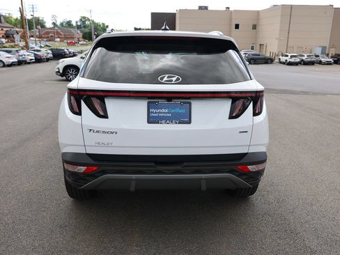 Used 2023 Hyundai Tucson Limited AWD/4WD image 6