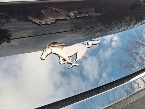 New 2026 Ford Mustang Convertible w/ Bronze Appearance Package image 19