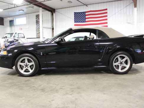 Used 1999 Ford Mustang Cobra RWD image 3