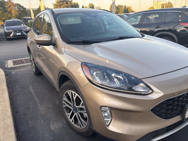 Used 2020 Ford Escape SEL AWD/4WD image 2
