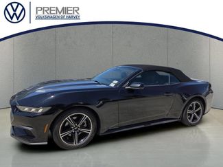 Used 2025 Ford Mustang Premium RWD video 1