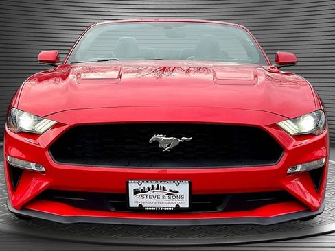 Used 2019 Ford Mustang Premium image 2