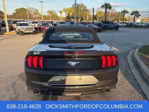 Used 2023 Ford Mustang Premium w/ Equipment Group 201A image 4