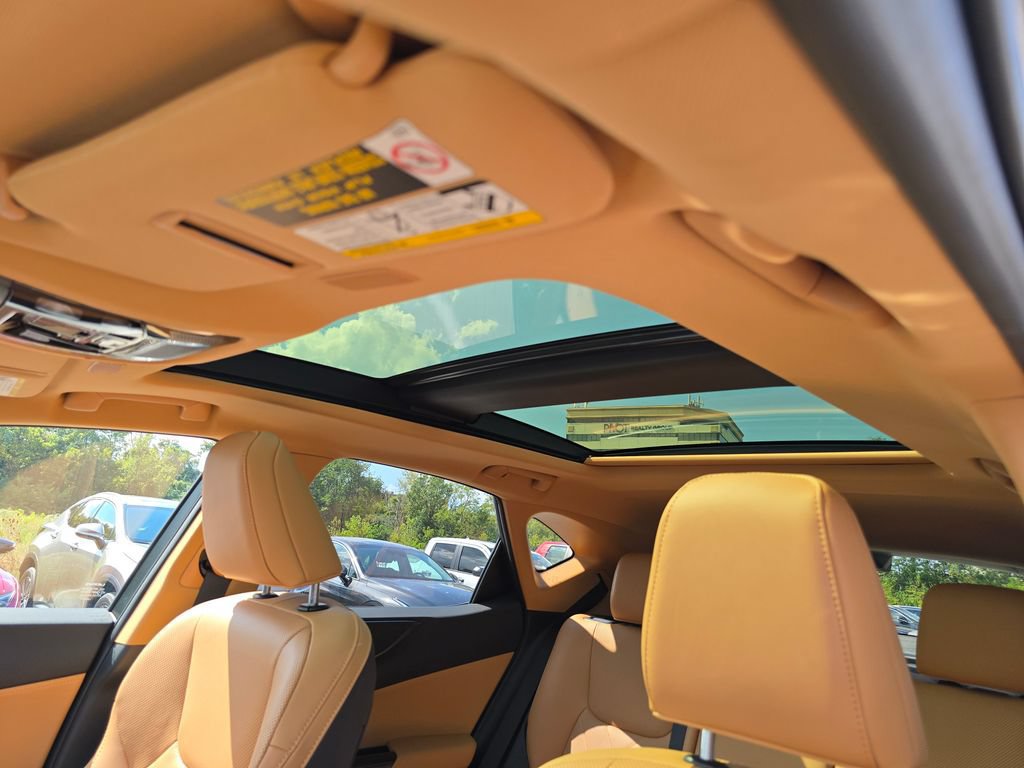 Certified 2025 Lexus NX 350h AWD w/ Cold Area Package image 9