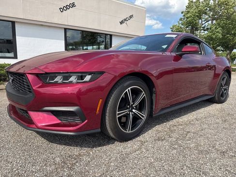 Used 2025 Ford Mustang Coupe RWD image 5