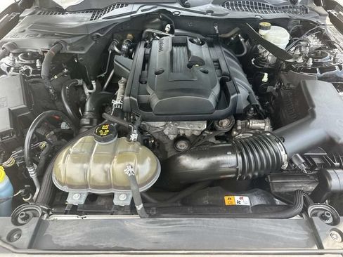 Used 2016 Ford Mustang Premium w/ Equipment Group 201A RWD image 10