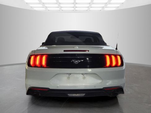 Used 2019 Ford Mustang Premium w/ Equipment Group 201A image 6