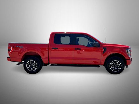Used 2023 Ford F150 XL w/ STX Appearance Package AWD/4WD image 4
